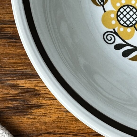 Folklore Ironstone ware by Myott England 2 Cereal Bowls 6,5" Brown Flowers - Picture 9 of 13